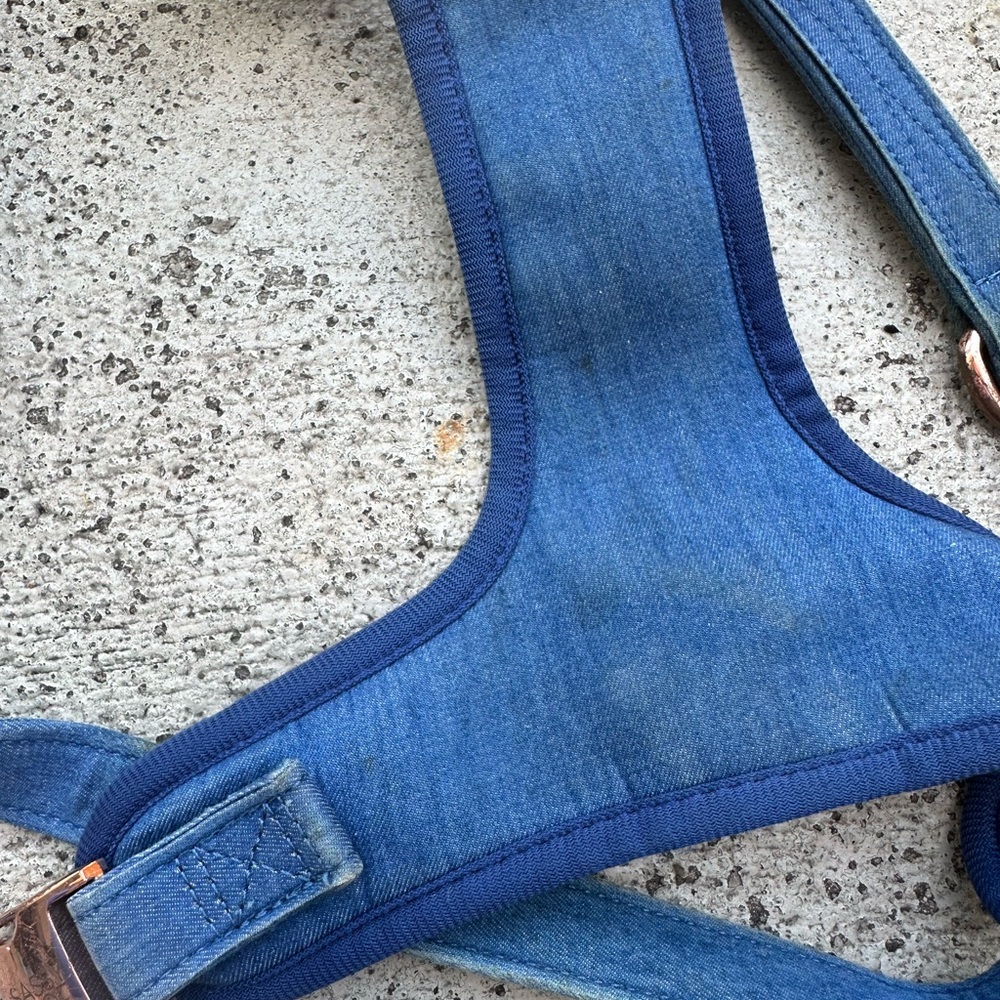 Sassy Woof Brand Blue Dog Pet Harness - Picture 2 of 3
